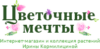 Сад Мечты Интернет Магазин