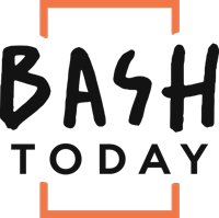 ООО «Бэш-тудэй» / bash today